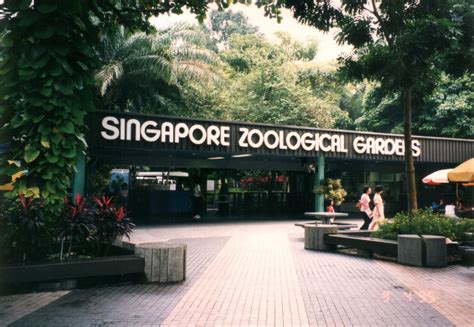 singapore zoological garden in chinese